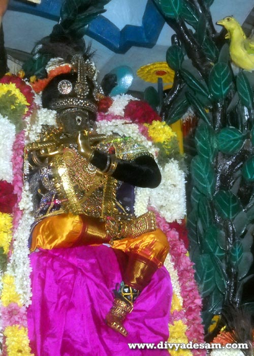 Sri Parthasarathy, Thiruvellikeni Temple