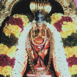 Sri Manavala Maamunigal