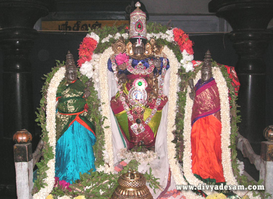 Sri Sowmya Narayana Perumal