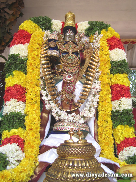 Sri Sowmya Narayana Perumal