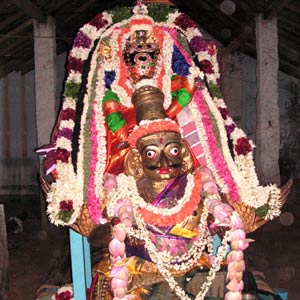 Sri Sowmya Narayana Perumal - Garuda Sevai