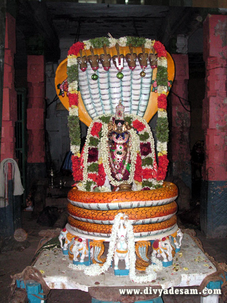 Sri Sowmya Narayana Perumal - Sesha Vaganam