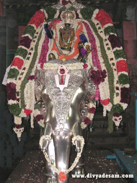 Sri Sowmya Narayana Perumal - Yaanai Vaganam