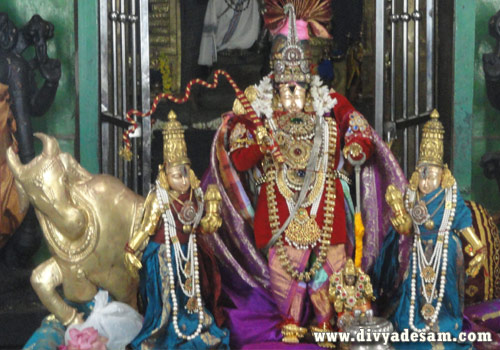 Sri Pandava Thoothar Perumal Temple