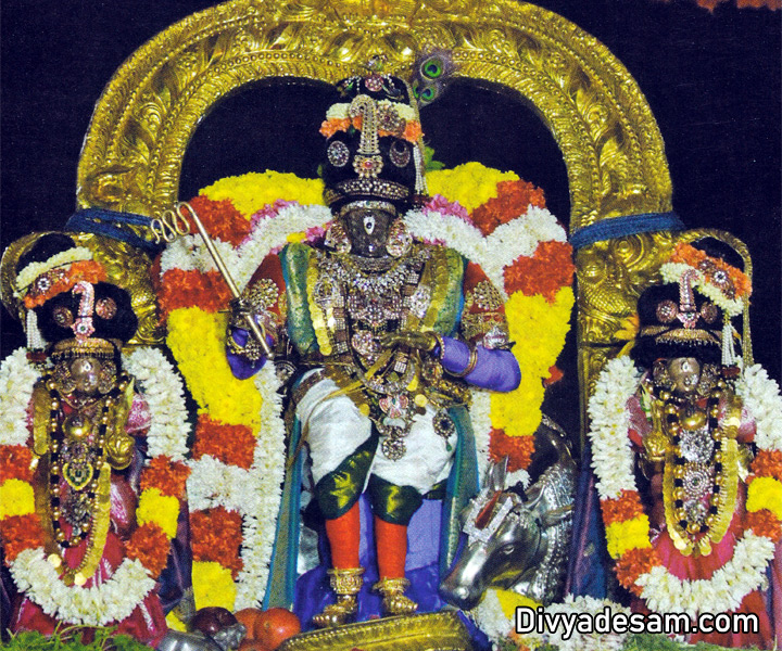 Sri Parthasarathy Temple, திருவல்லிக்கேணி பார்த்தசாரதி கோயில்