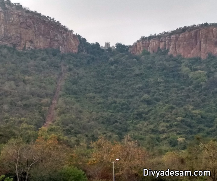 Tirumala Tirupati Divyadesam, Sri Srinivasar, ஏழுமலையான், திருப்பதி வெங்கடாசலபதி கோயில்